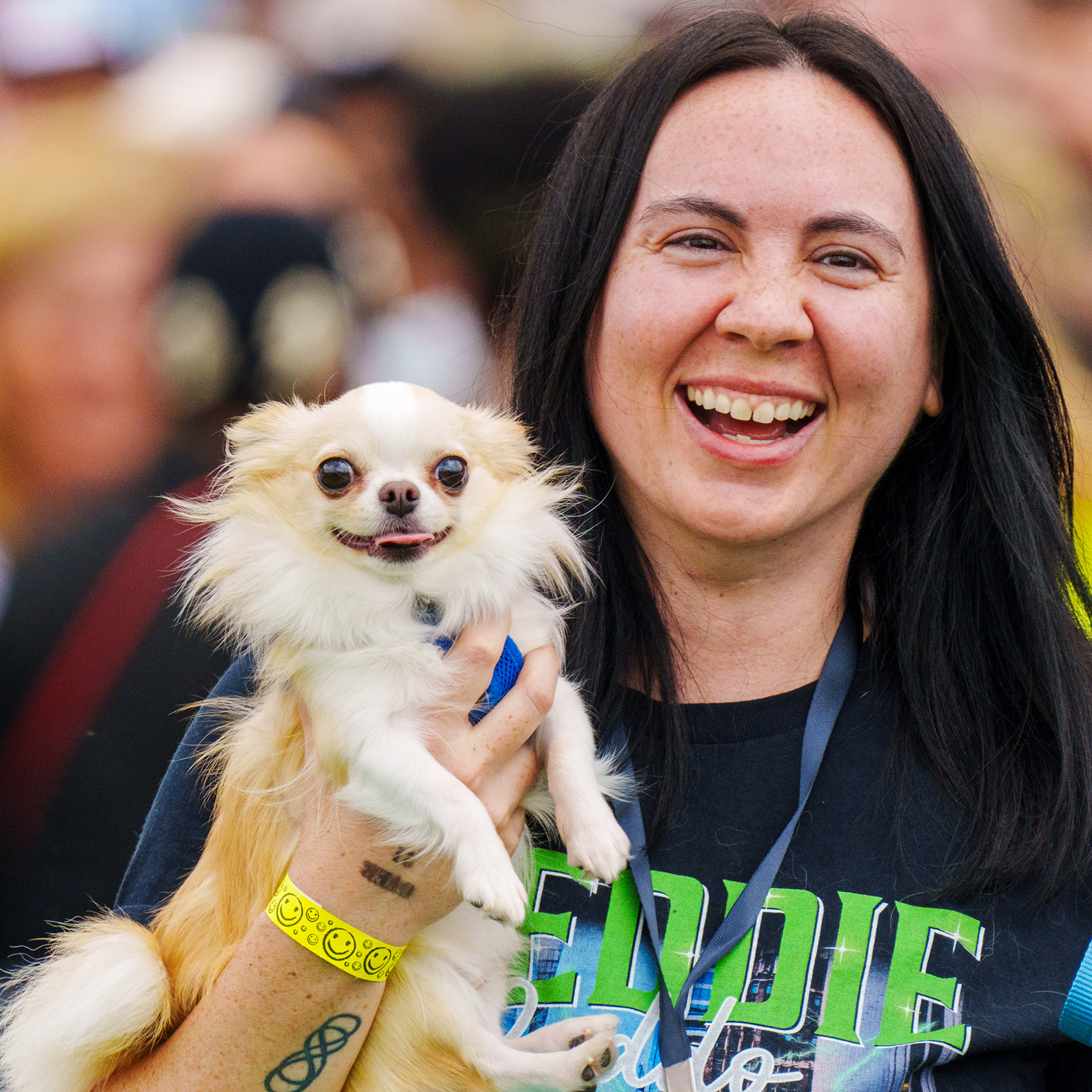 Running of the Chihuahuas